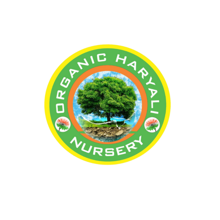 nursery Nursery best nursery organic Hariyali nursery Indian nursery Hisar West nursery nearby menursery Nursery best nursery organic Hariyali nursery Indian nursery Hisar West nursery nearby me